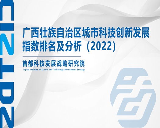 小姐三级网站【成果发布】广西壮族自治区城市科技创新发展指数排名及分析（2022）